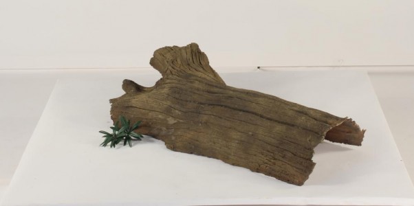 www.gardengnomesetc.com