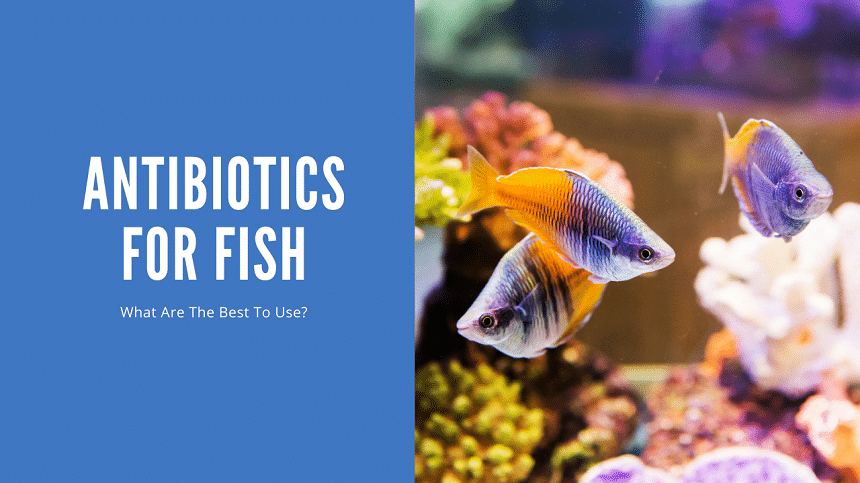 aquariumstoredepot.com