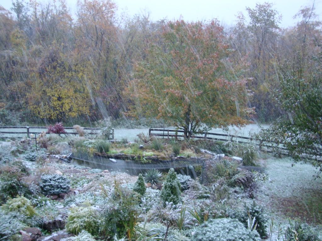 DSC02543.jpg