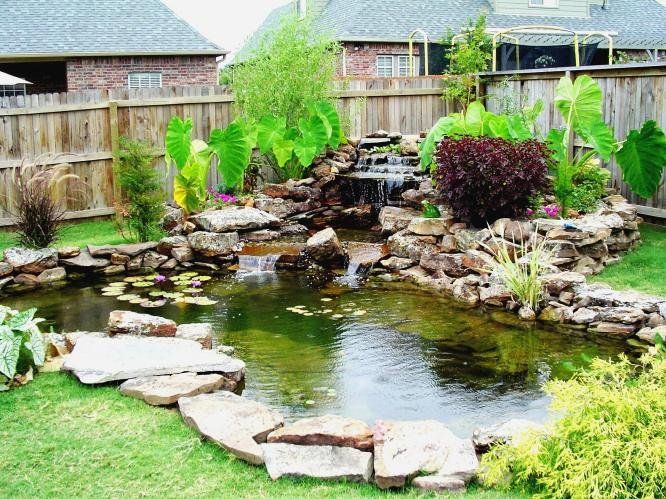 Garden_pond_koi9.jpg