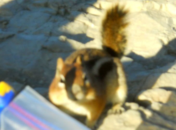 DSCN0386.jpg
