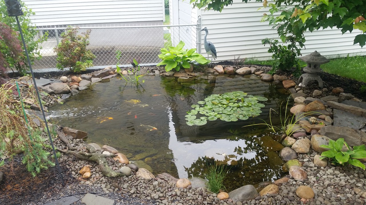 20150601_131549-X2.jpg