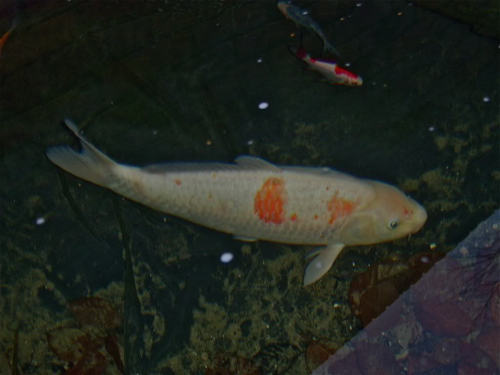 file-2.jpg
