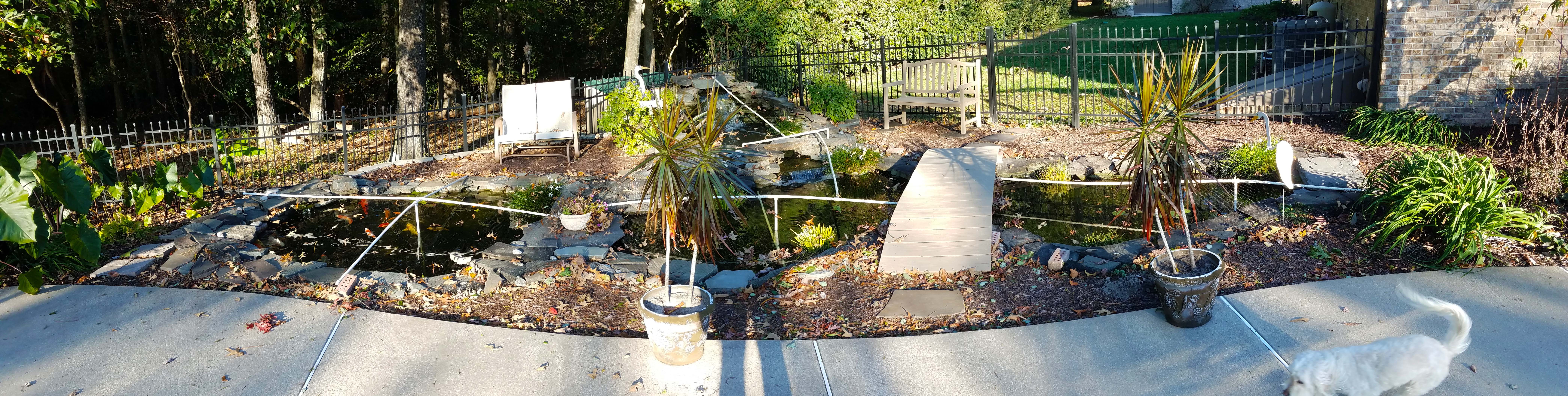 fallcover.jpg