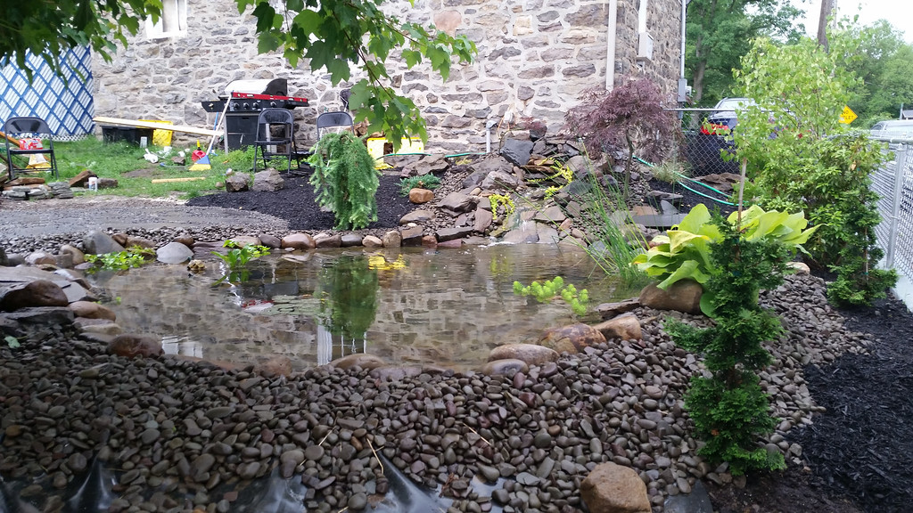 20140624_083221-XL.jpg