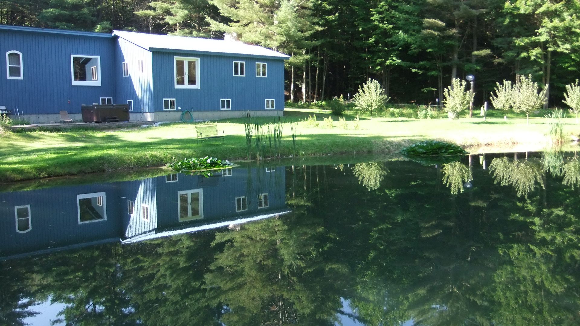 august27pond044.jpg