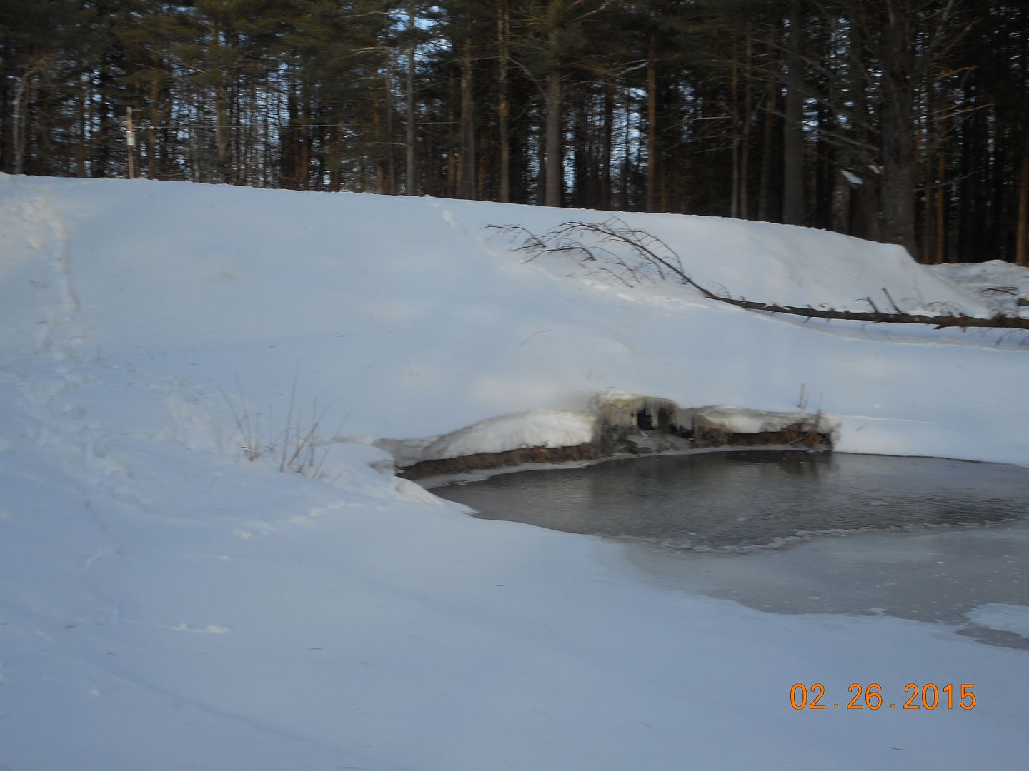 pond%20damage%202%20006.jpg