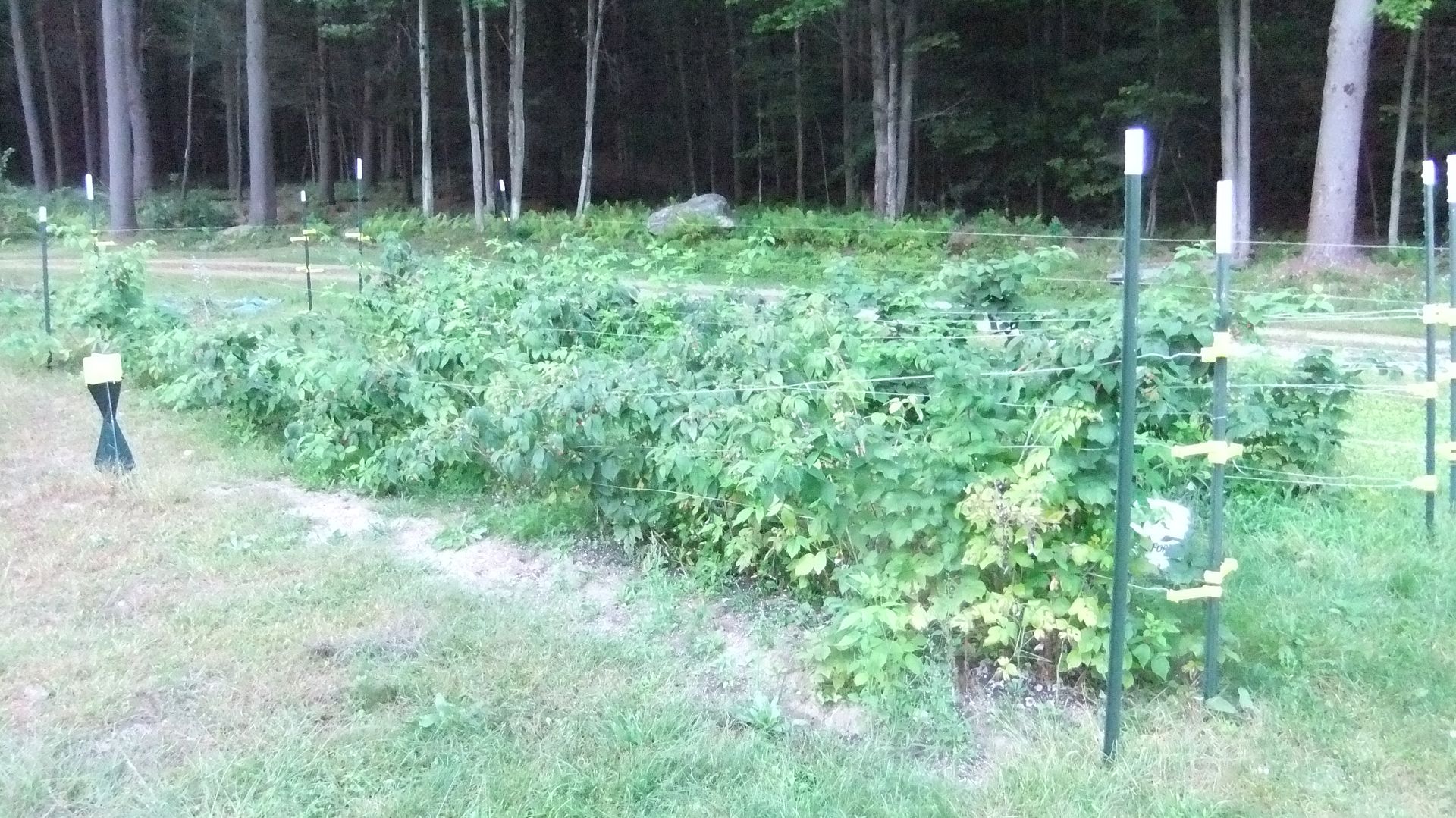 pond%20sept%2018%20029.jpg