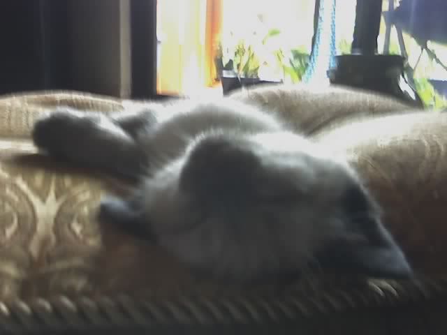 06-04-06_1328.jpg