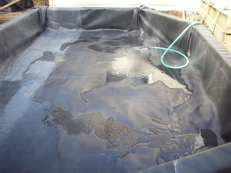 pond16.jpg