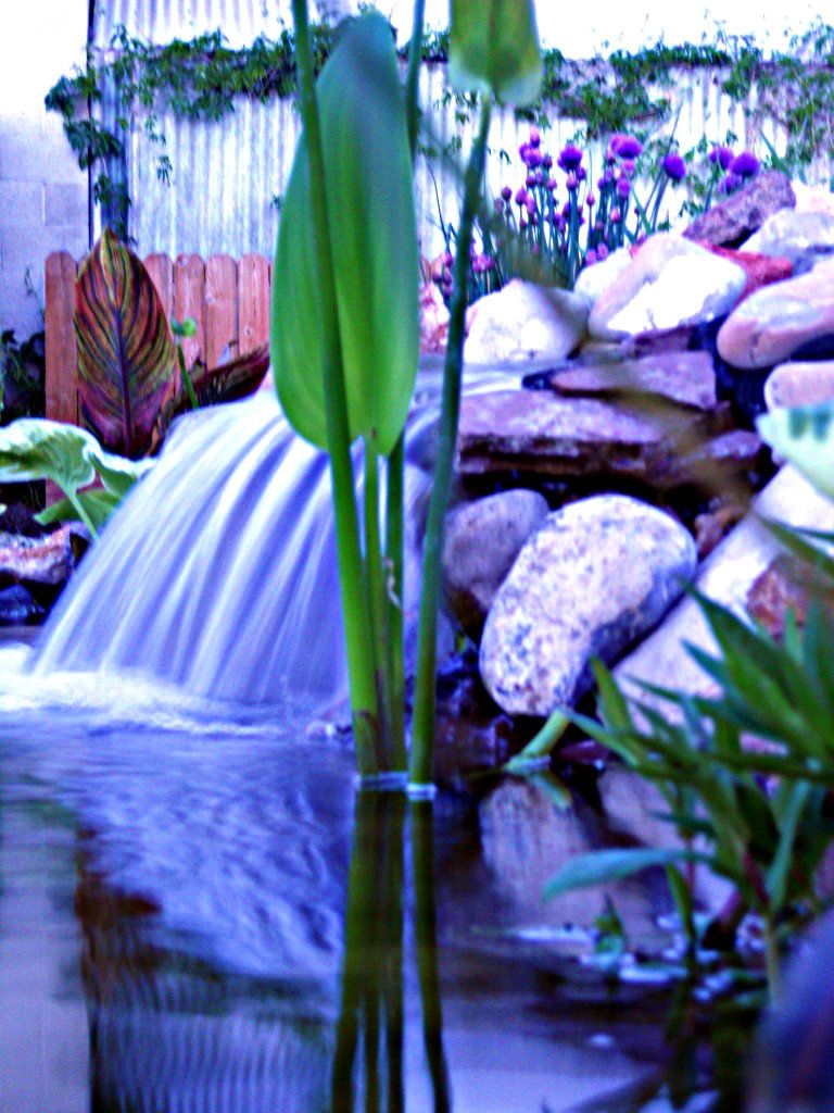 DSCN1980.jpg