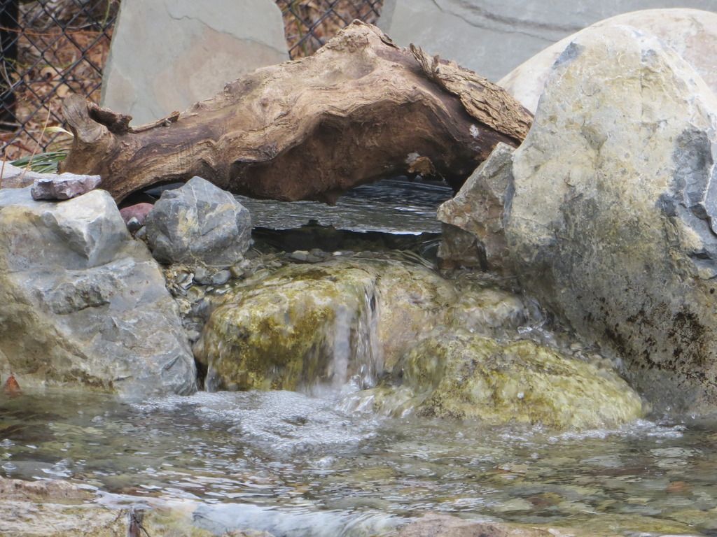 IMG_1098.jpg