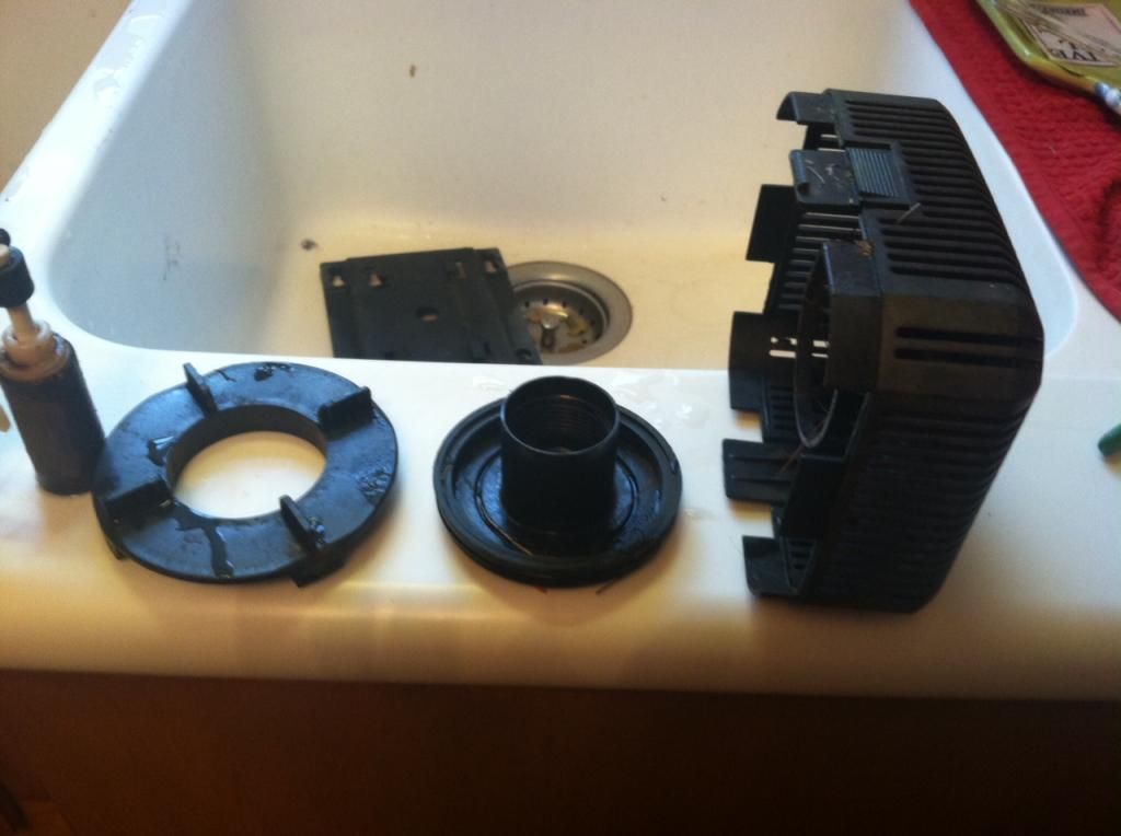 image7.jpeg