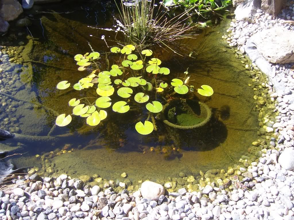 Pictures174.jpg