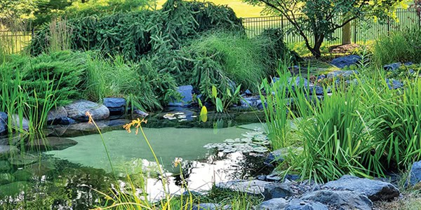 www.pondtrademag.com