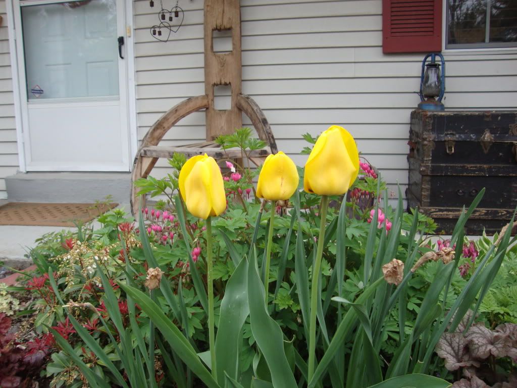 DSC01213.jpg