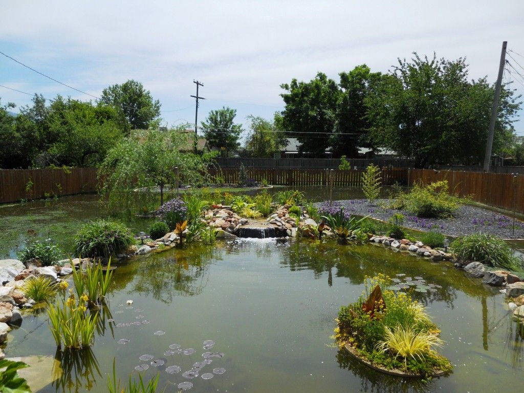 DSCN2132.jpg