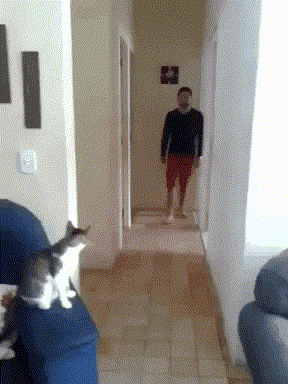 LtNblI.gif