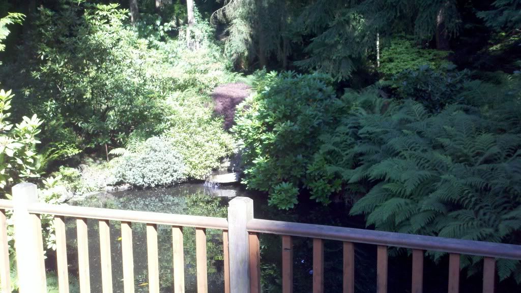 2011-07-27_16-04-01_783.jpg