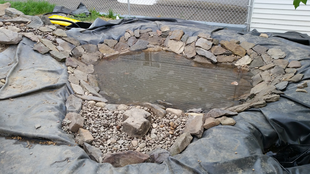 20140518_185431-XL.jpg