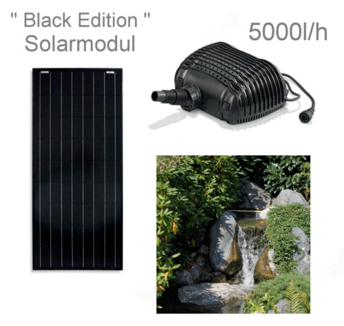 www.ebay.es