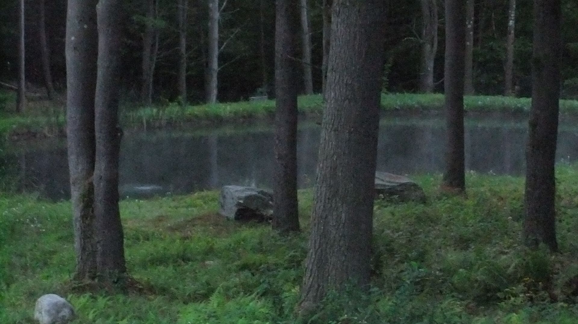 DSCF8714.jpg