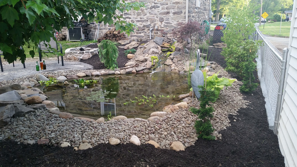 20140627_193949-XL.jpg