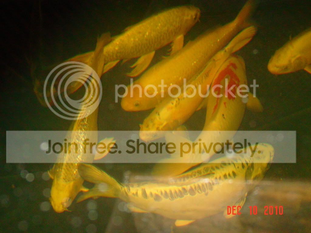 DSC01666.jpg