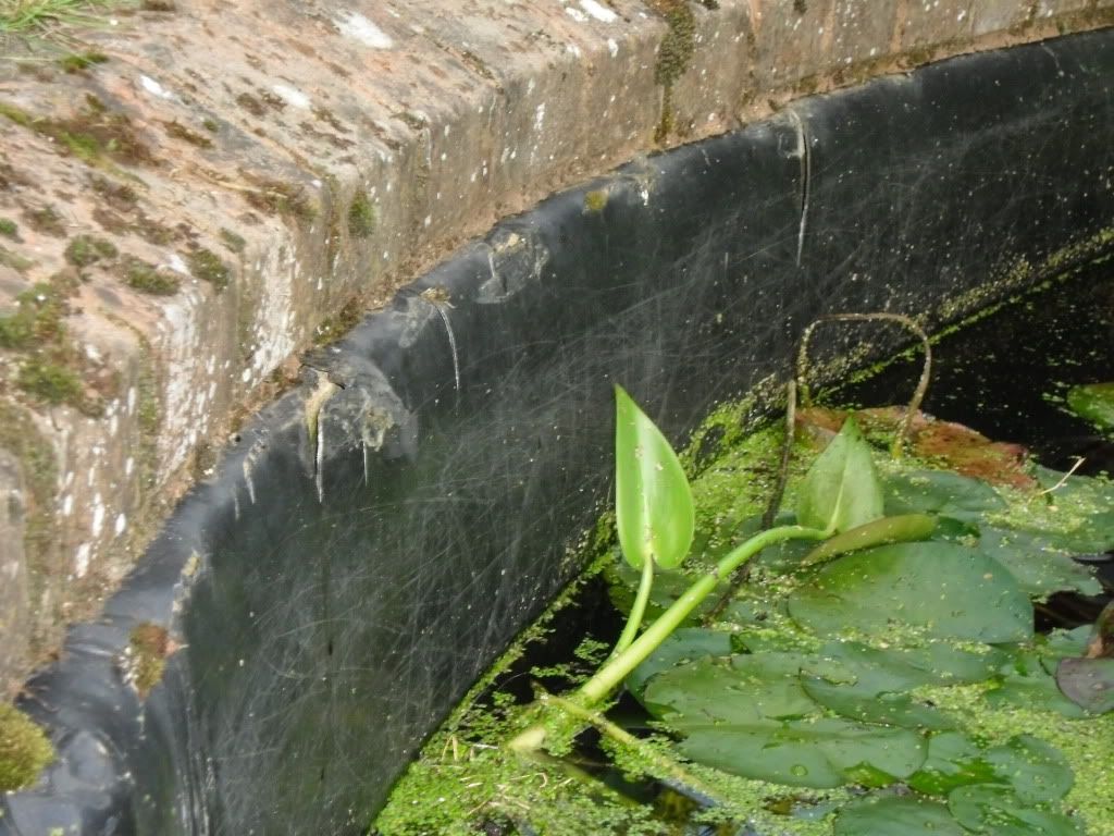 CIMG0389.jpg