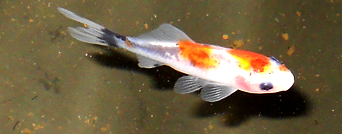 DSCN3984_zpsbb5c9491.png