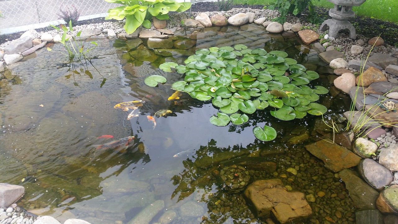 20150618_135252-X2.jpg