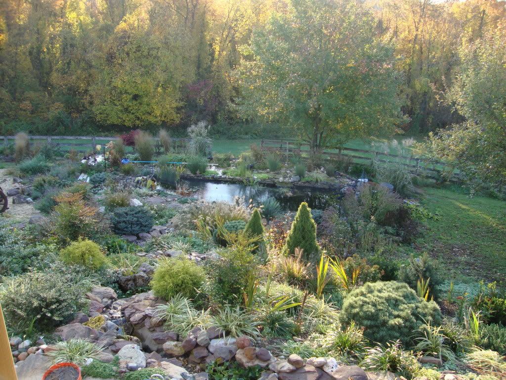 DSC02510.jpg