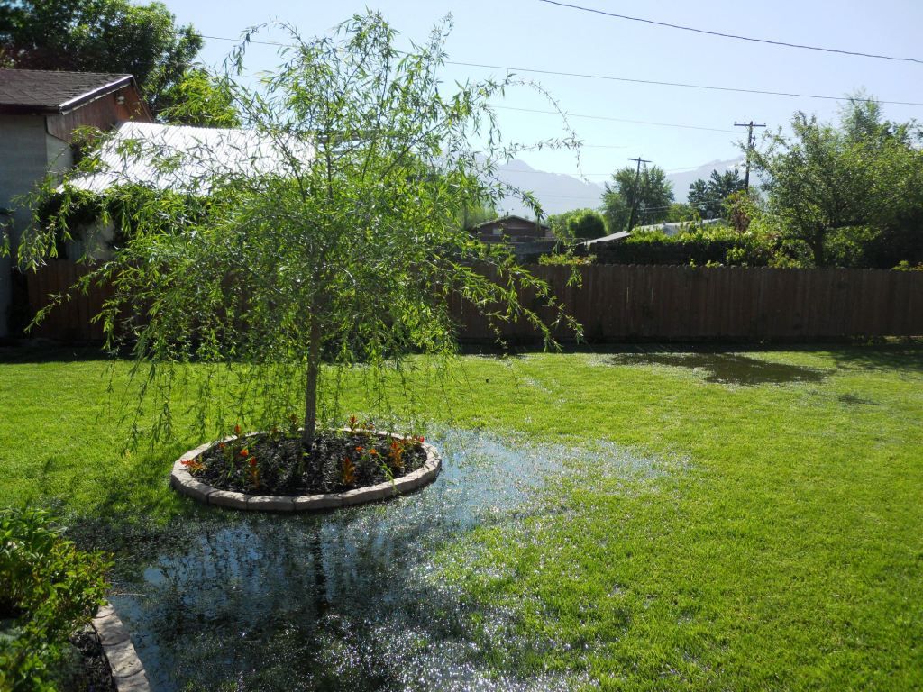 DSCN2124.jpg