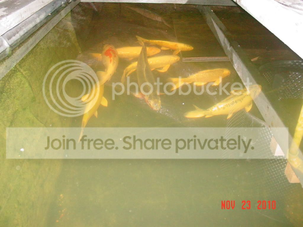 DSC01642.jpg