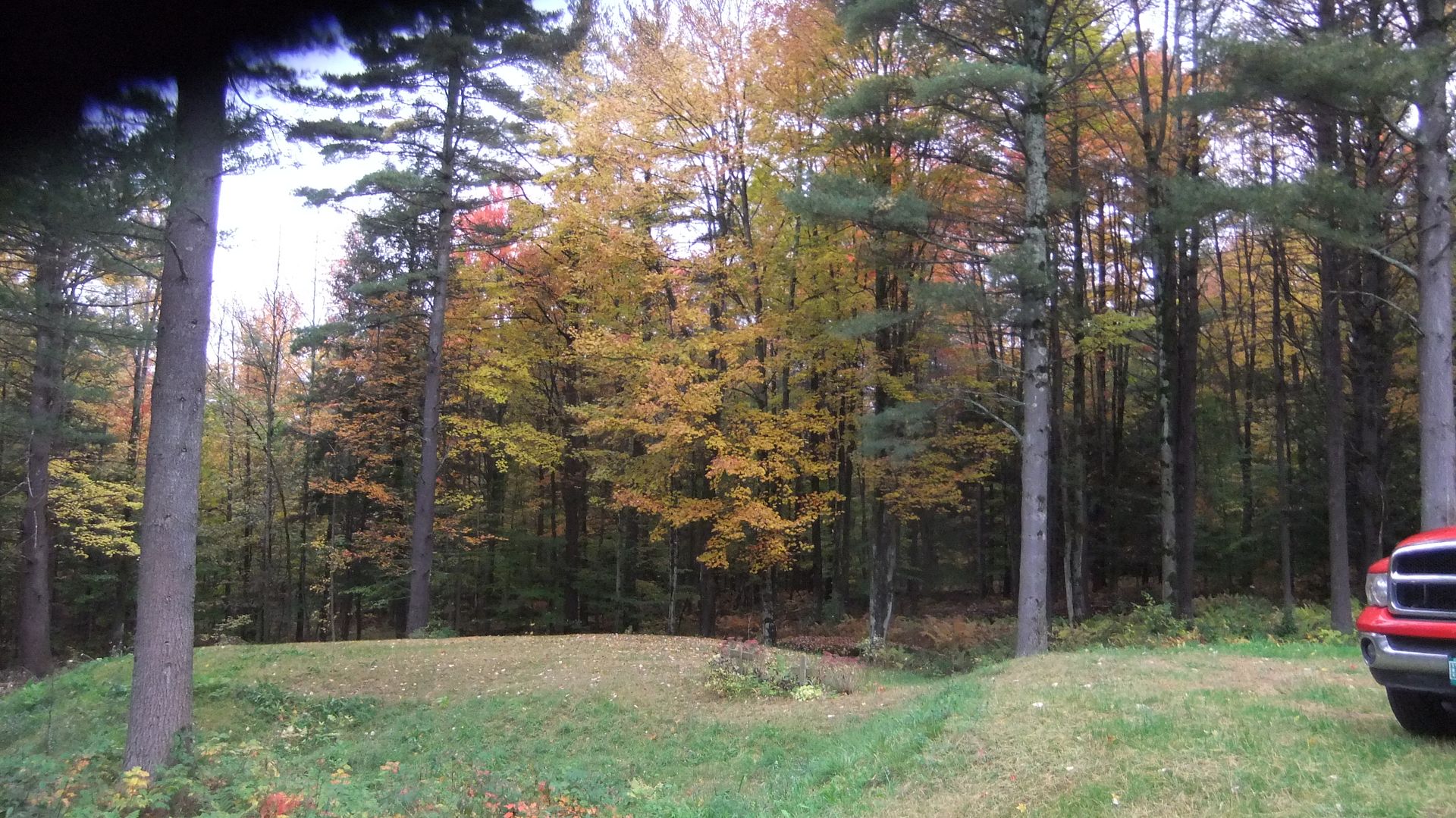 DSCF8228.jpg