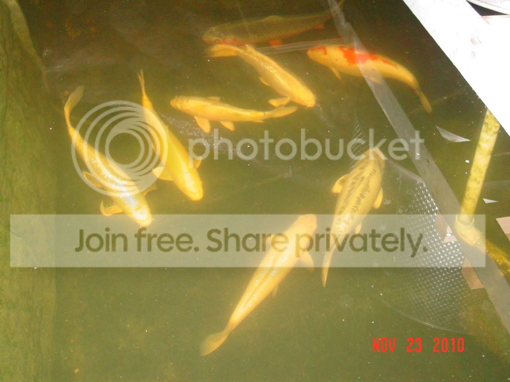 DSC01657.jpg