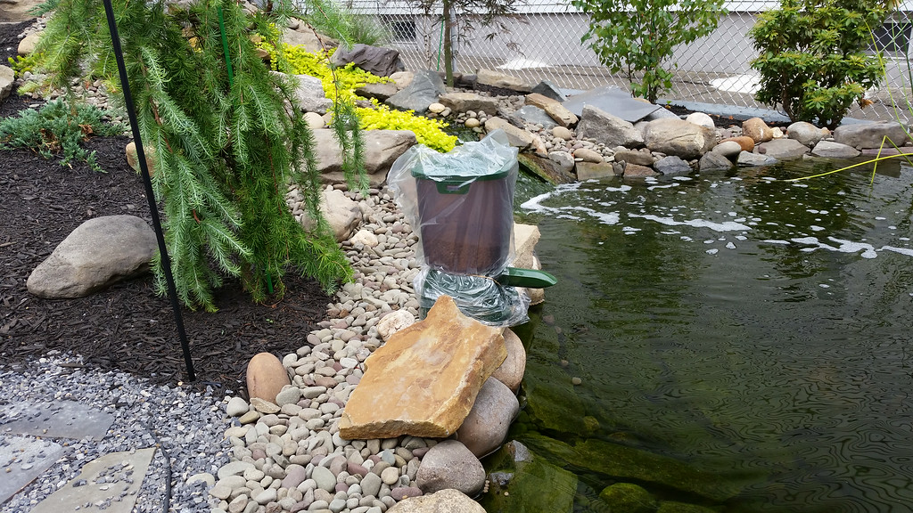 20140726_093256-XL.jpg