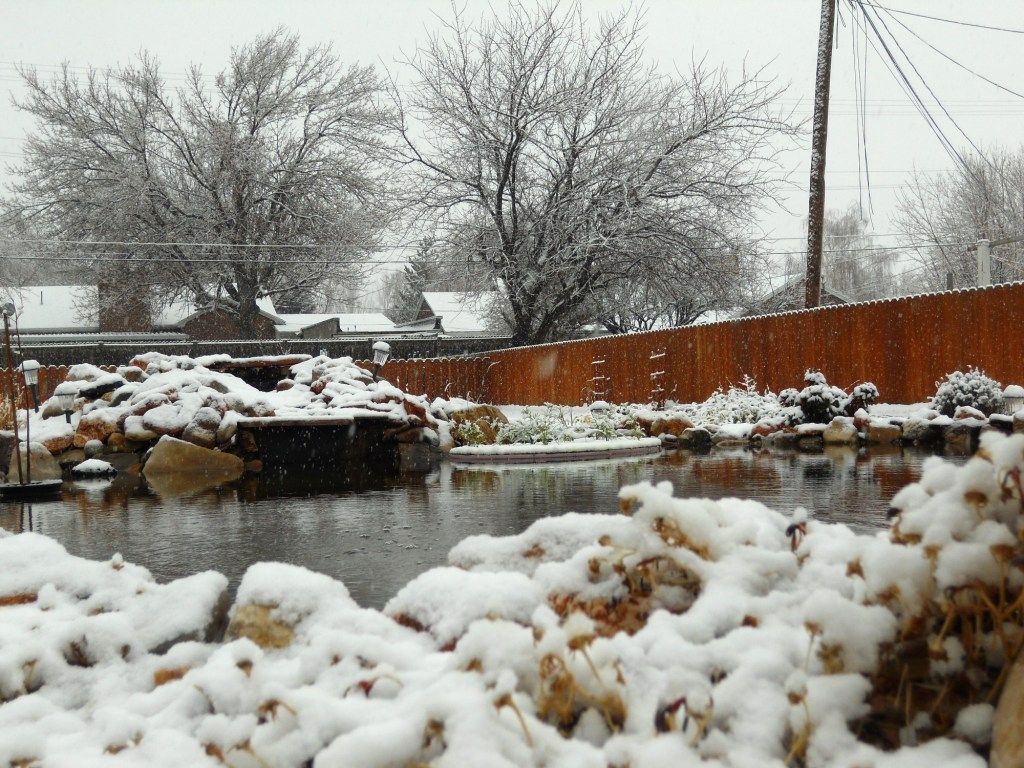 DSCN1704.jpg