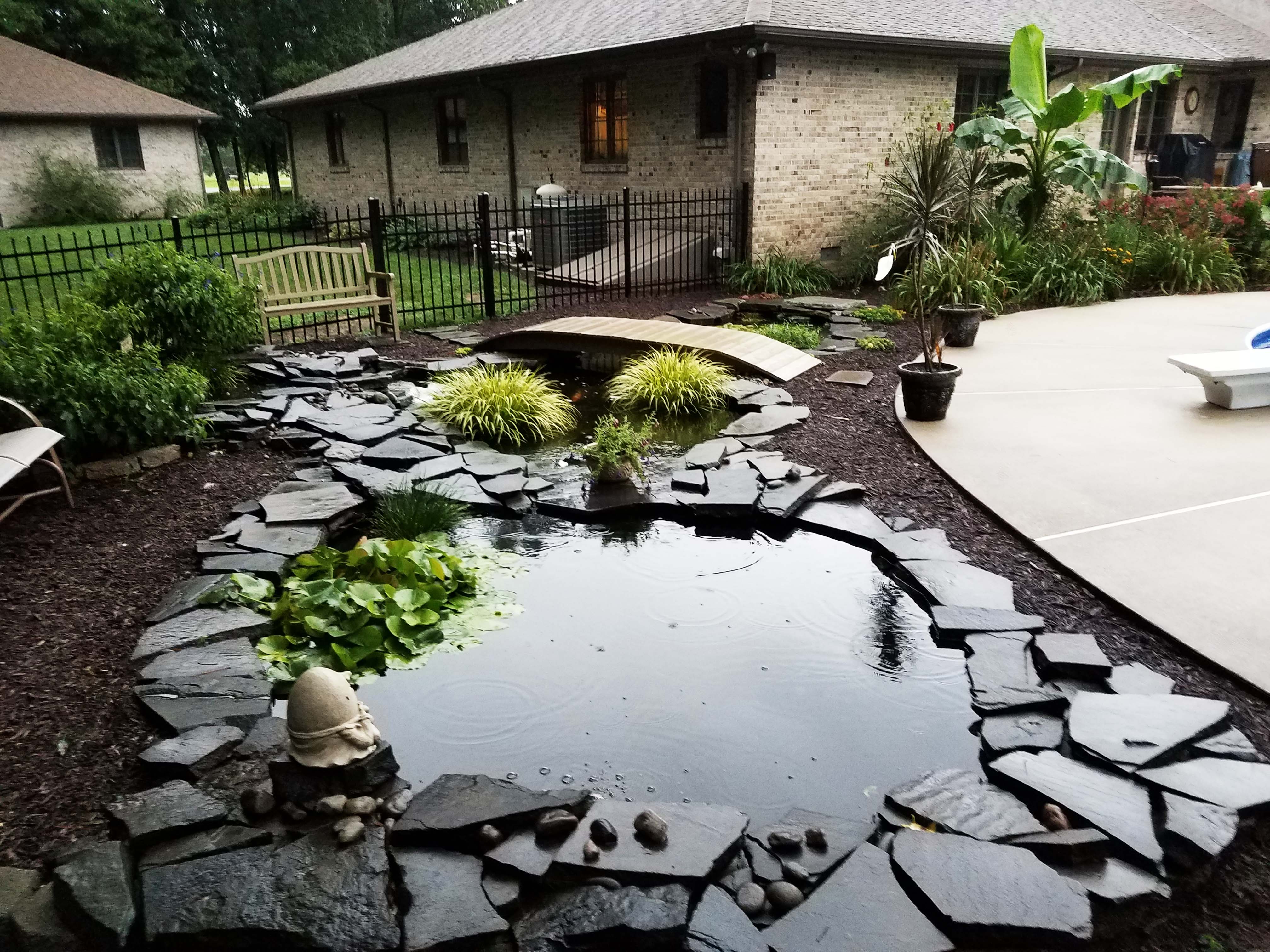 20170729_065144.jpg