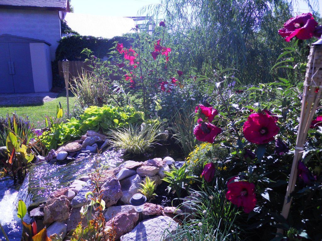 DSCN2820.jpg