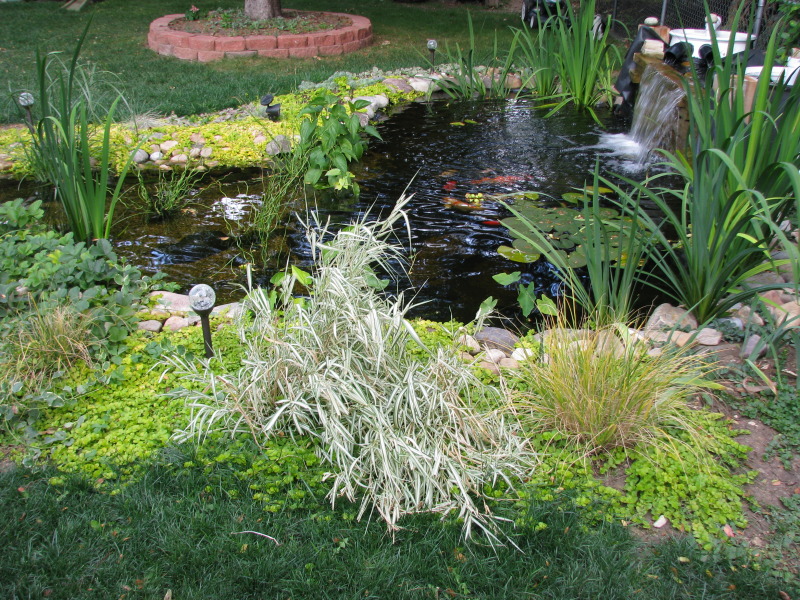 img_6155.jpg