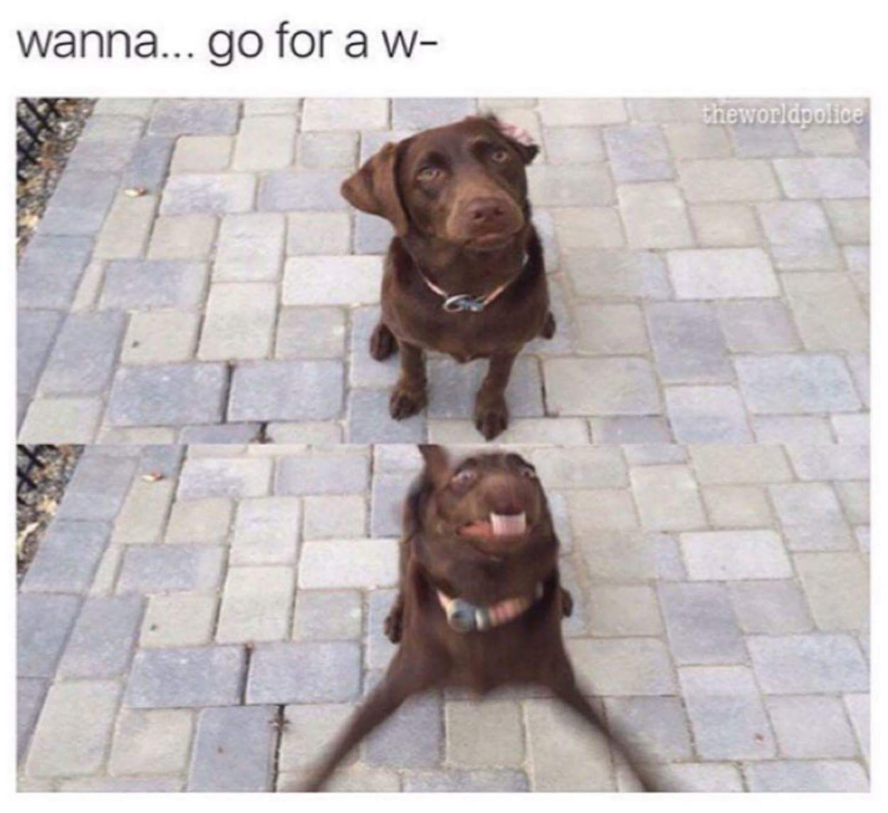 qSpvFGe.jpg