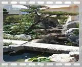 th_IMG_0981.jpg