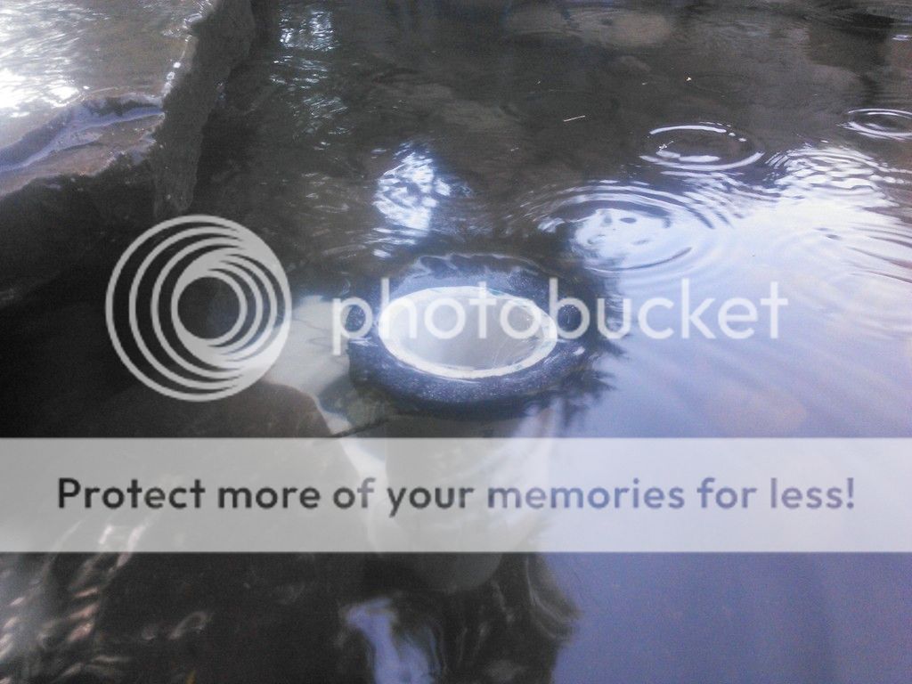 NCM_0083_1.jpg