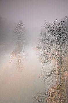 41d91ed096fa625598c9bd22a48a194e.jpg