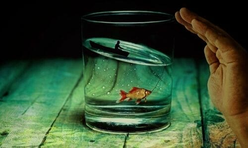 aquagoodness.com