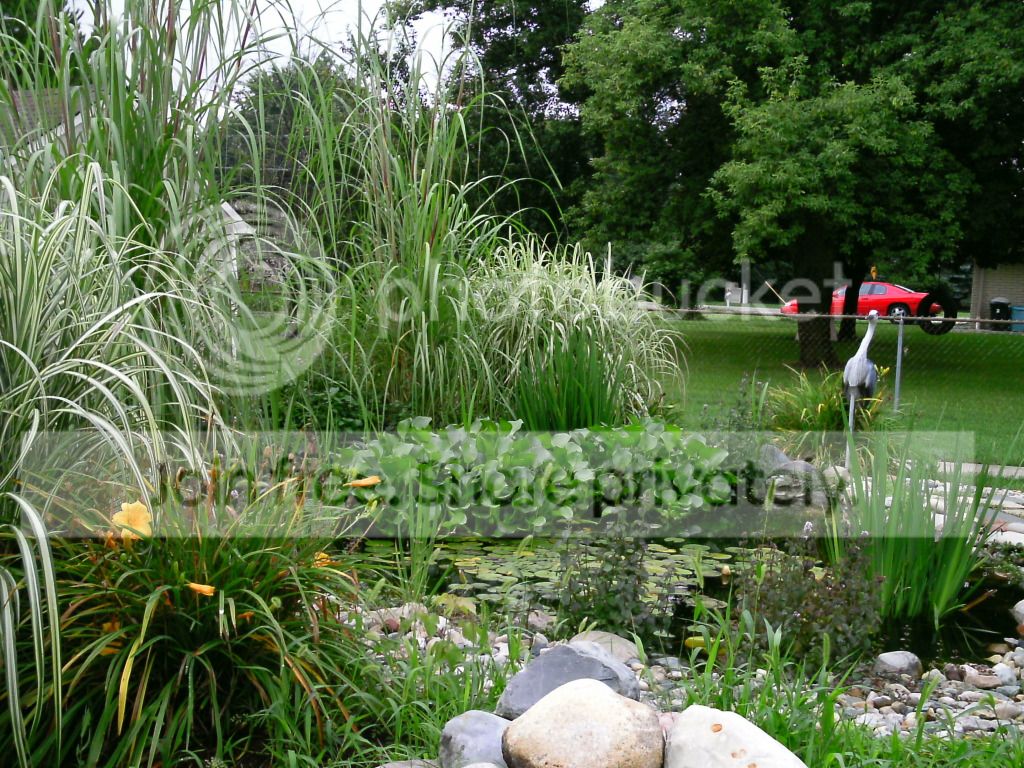 PTDC0003.jpg