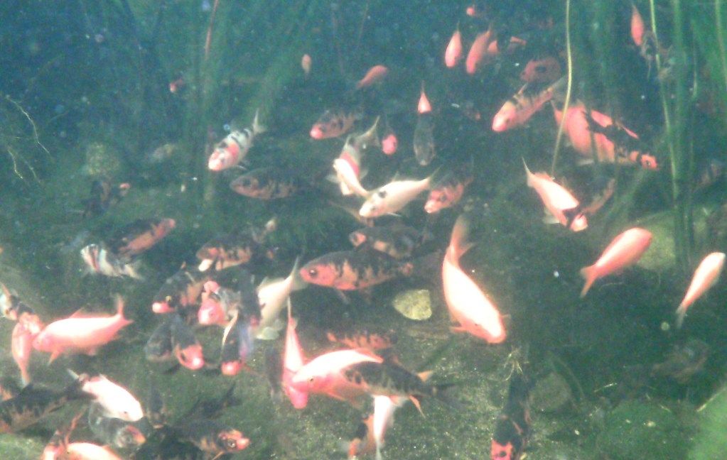 PTDC0011.jpg