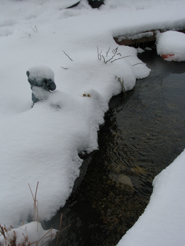 img_6233.jpg