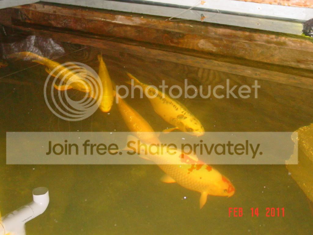 DSC01755.jpg